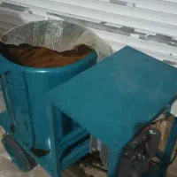 پوستگیری گردو