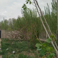 مشارکت در ساخت ویلا