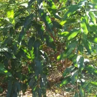 پایینتر از قیمت بازار