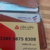 مدارک به نام علی قربانی کیانی پیداشده