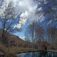طبیعت گردی
