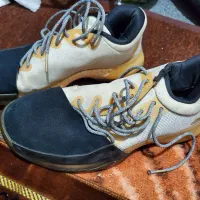 کفش اسپورت|کیف، کفش، کمربند|سلماس, |دیوار