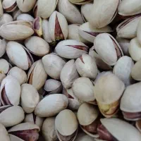 تخمه کدو+|خوردنی و آشامیدنی|قم, باسکول|دیوار