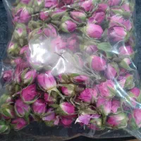 فروش گل محمدی (غنچه)