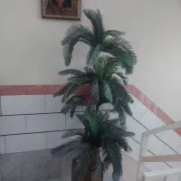 گل مصنوعی|گل مصنوعی|اراک, |دیوار