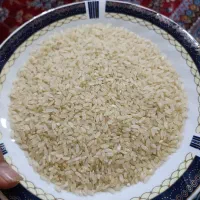 خورده کامفیروزی|خوردنی و آشامیدنی|شیراز, مسلم|دیوار