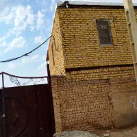 زمین دامداری و گاوداری