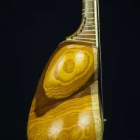 فروش ویژه تعدادی ساز فوق حرفه ای