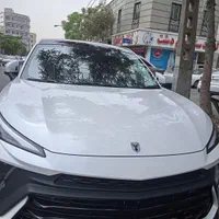 لاماری هیبرید/ایما/سفید مشکی/ صفر خشک /مدل ۱۴۰۴