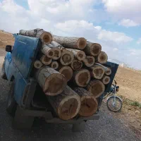 خرید چوب|خدمات باغبانی و درختکاری|اراک, |دیوار