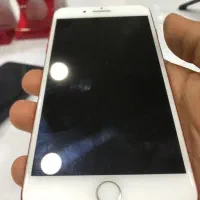 iphone 7+/256G|موبایل|چالوس, |دیوار