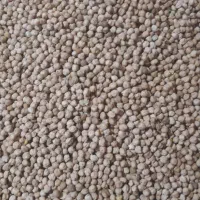 نخود سفید ارگانیک