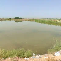 اجاره حوضچه ماهی