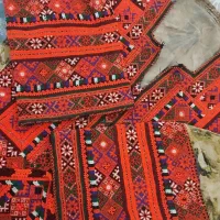 زی استین قرمز