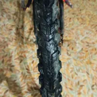 دوچرخه|دوچرخه، اسکیت، اسکوتر|مهران (ایلام), |دیوار