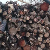 هیزم خشک ، چوب خشک شومینه و بخاری هیزمی|خدمات باغبانی و درختکاری|ارومیه, |دیوار