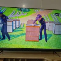 تلویزیون ایکس ویژن۵۵اینچ