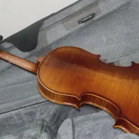 ویولن|ویولن|کازرون, |دیوار