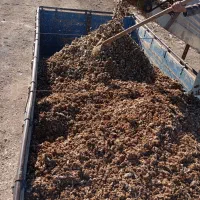 فروش وحمل انواع کودوخاک باغچه|خدمات باغبانی و درختکاری|بیرجند, |دیوار