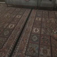 دوعددفرش شش متری|فرش|رشت, پیرکلاچای|دیوار