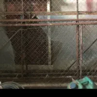 درطوری بالوله گاز محکم 4متری