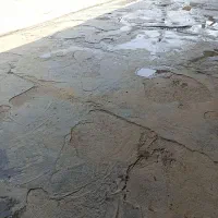 نیرو کار کارواش