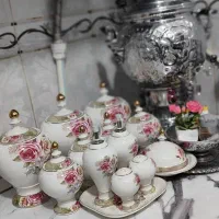 پاسماوری کاملا سالم با کارتن