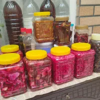 انواع ترشی و شور|خوردنی و آشامیدنی|قم, شهرک امام حسین|دیوار