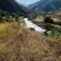 همسفر خوش اخلاق