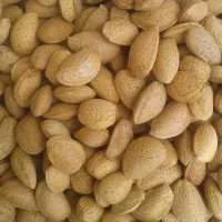 فروش بادام وگردوی درجه یک  صادراتی اقلید فارس|خوردنی و آشامیدنی|رشت, گلسار|دیوار