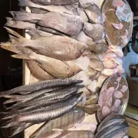 ماهی و میگو بندر|خوردنی و آشامیدنی|زرقان, |دیوار