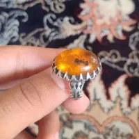 کهربا مهر دار قریشی مورچه