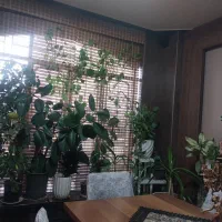 حدود ۲۰ عدد گل