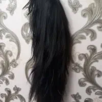 کلاه گیس  مو مصنوعی ساخت کره ۲عدد|آرایشی، بهداشتی، درمانی|تبریز, |دیوار