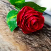 رز روبانی تک شاخه رزربانی دسته گل پروانه|گل مصنوعی|تبریز, |دیوار