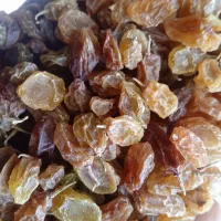 کشمش|خوردنی و آشامیدنی|پاتاوه, |دیوار