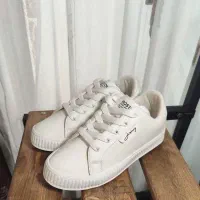 انواع کفش|کیف، کفش، کمربند|شاهرود, |دیوار