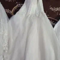 تعدادی تورعروس