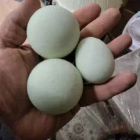 سنگ گوهر شب چراغ وارداتی ۱۶۰ گرمی(مجسمه برنزی)|جواهرات|تهران, اکباتان|دیوار