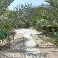 اجاره-و-کرایه-خانه-باغ-ویلایی-با-سوییت