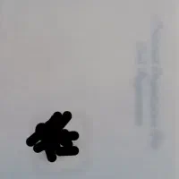 گمشده کارت ملی شناسایی معصومه خرم ابادی