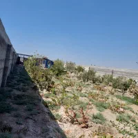 باغچه ۴ دیواری زیره قیمت