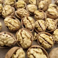 فروش نهال های پیوندی خاص|گل و گیاه طبیعی|تهران, زعفرانیه|دیوار