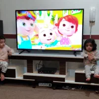 لوازم خانگی|سایر لوازم برقی|جلین, |دیوار