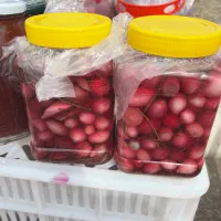 ترشی پیاز بهداشتی و خوشمزه