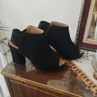 کفش مجلسی