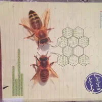 کتاب تیزهوشان خیلی سبز درس علوم نهم