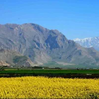 دفتر خدماتی