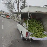 نگهبانی