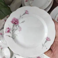 سرویس کمیاب و زیبای گل میخک|ظروف سرو و پذیرایی|ری, حمزه‌آباد|دیوار